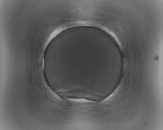 X0000097621365200803141952