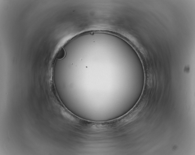 X0000097621366200803141952
