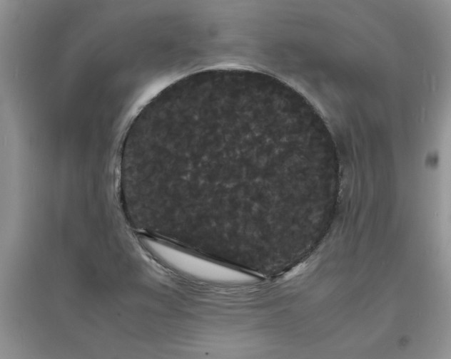 X0000097621367200803141952