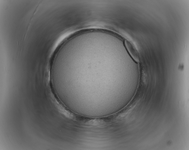 X0000097621368200803141952