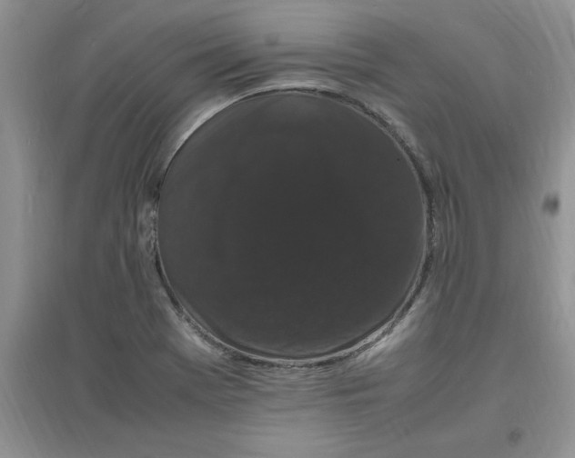 X0000097621369200803141952