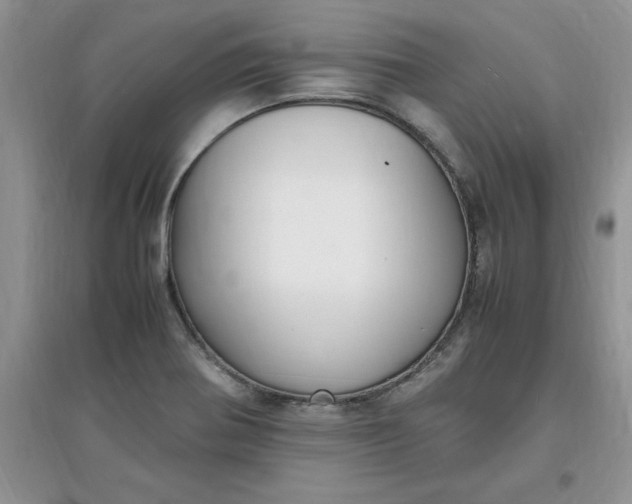 X0000097621370200803141952