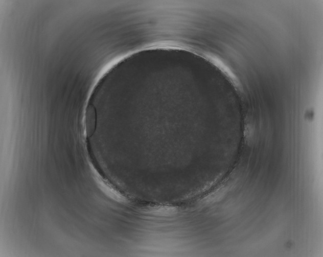 X0000097621372200803141952