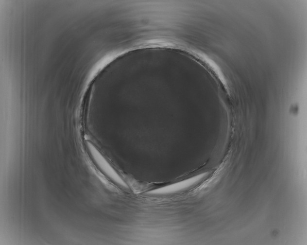 X0000097621373200803141952