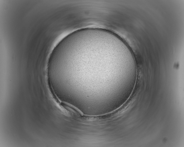 X0000097621375200803141952