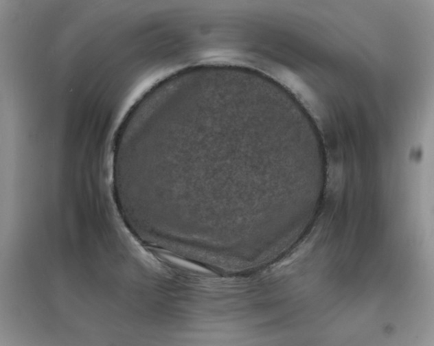 X0000097621376200803141952