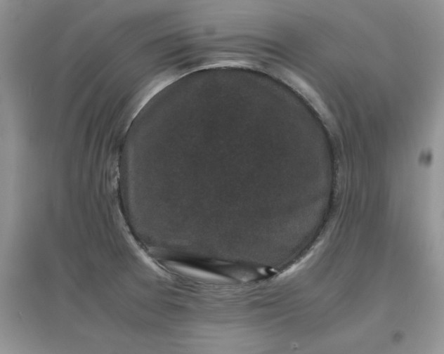 X0000097621377200803141952