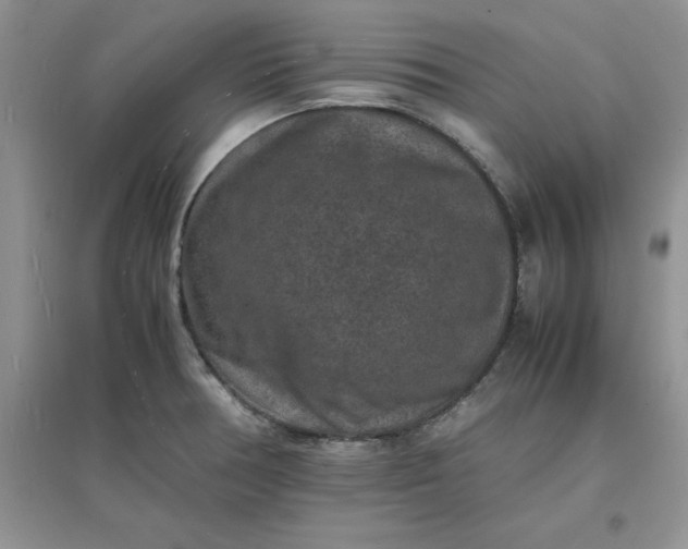 X0000097621378200803141952