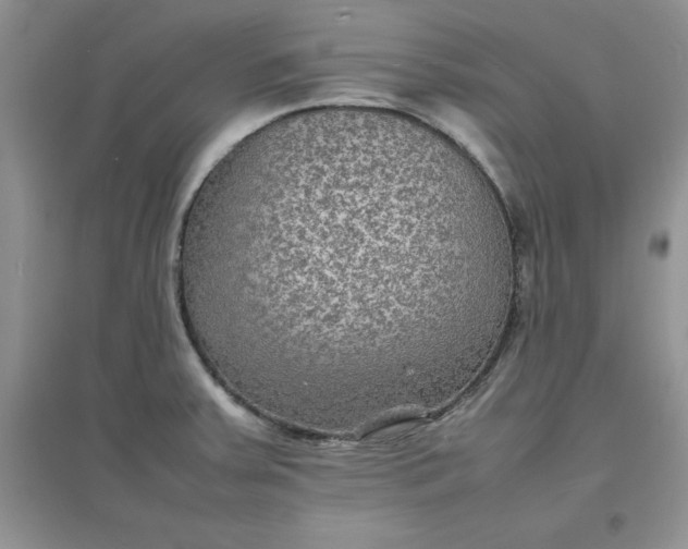 X0000097621379200803141952