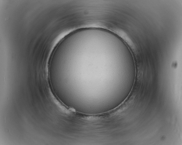 X0000097621380200803141952