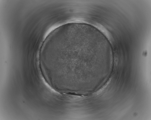 X0000097621382200803141952