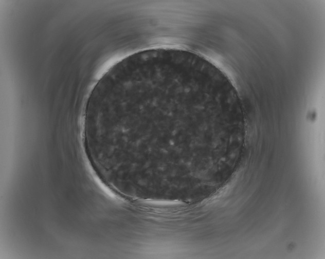 X0000097621383200803141952