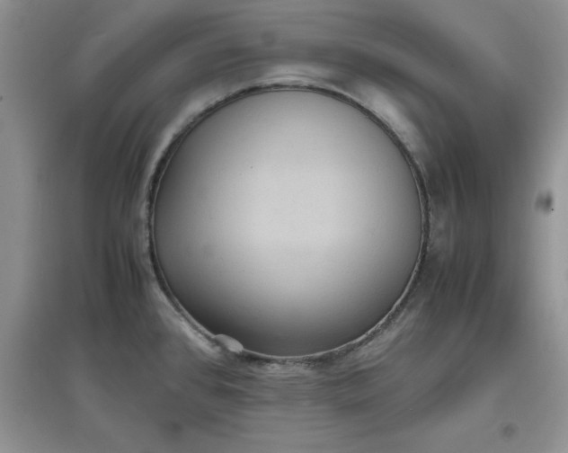 X0000097621384200803141952