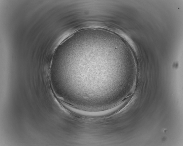 X0000097621385200803141952