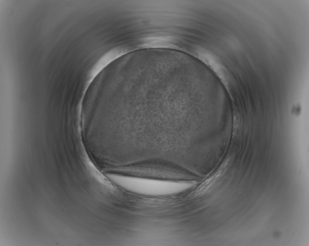 X0000097621386200803141952