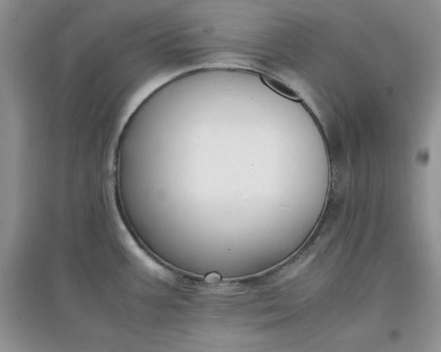 X0000097621387200803141952