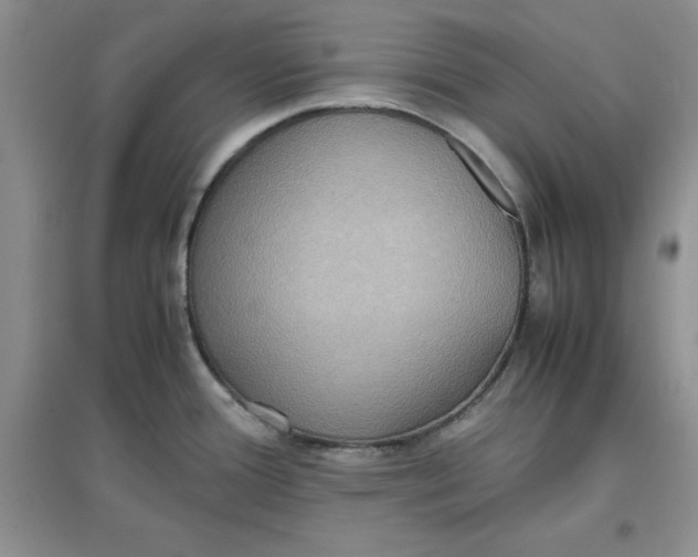 X0000097621388200803141952