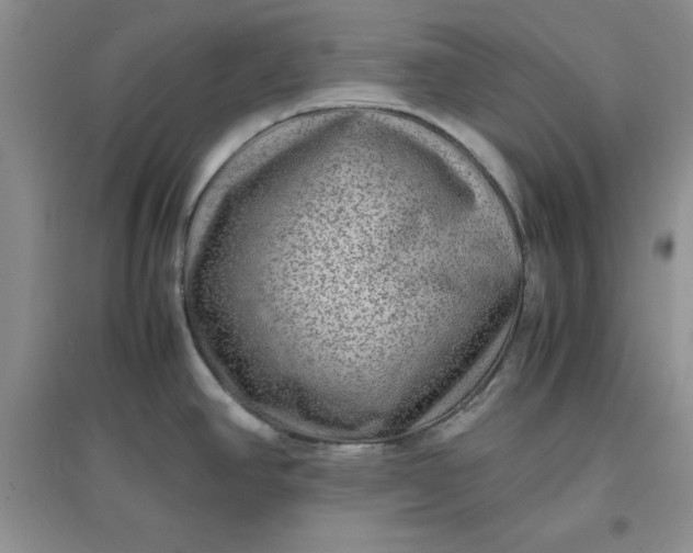 X0000097621390200803141952