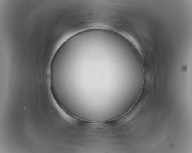 X0000097621391200803141952