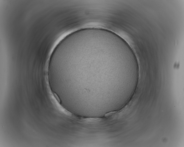 X0000097621392200803141952