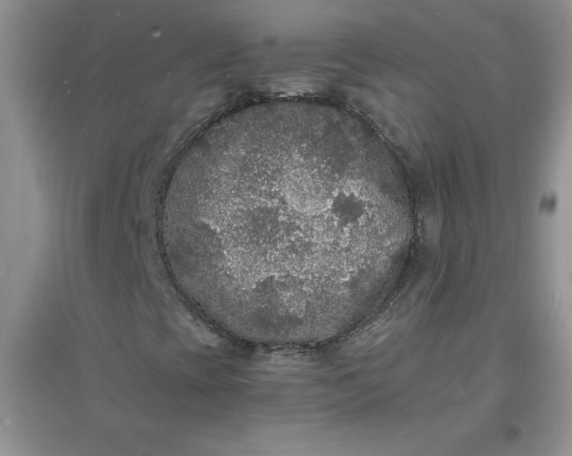 X0000097621393200803141951