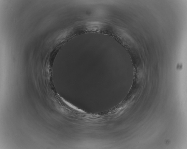 X0000097621394200803141951
