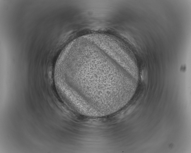 X0000097621396200803141951