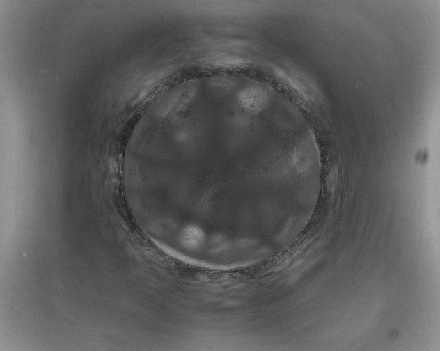 X0000097621397200803141952