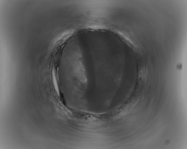 X0000097621398200803141952