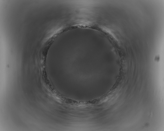 X0000097621399200803141952