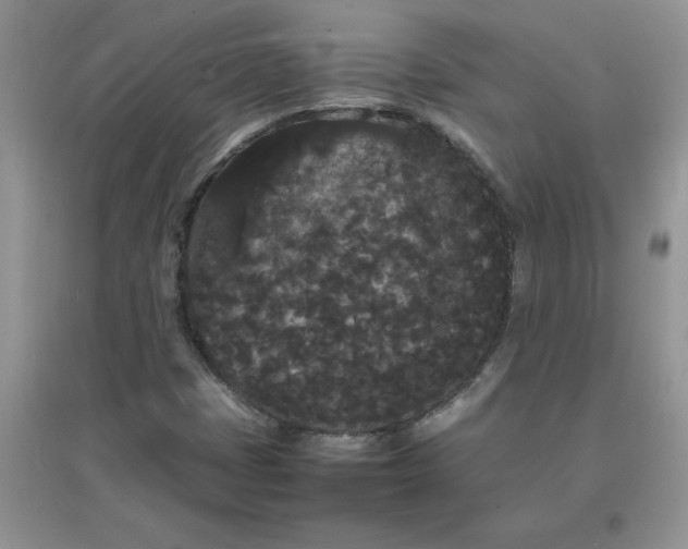 X0000097621401200803141952