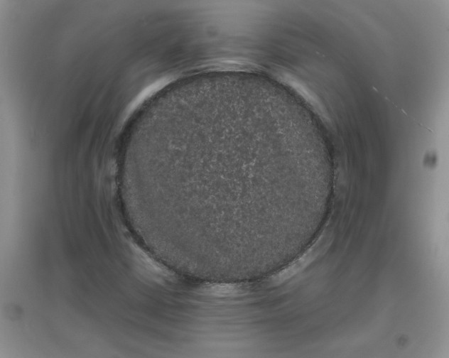 X0000097621402200803141952
