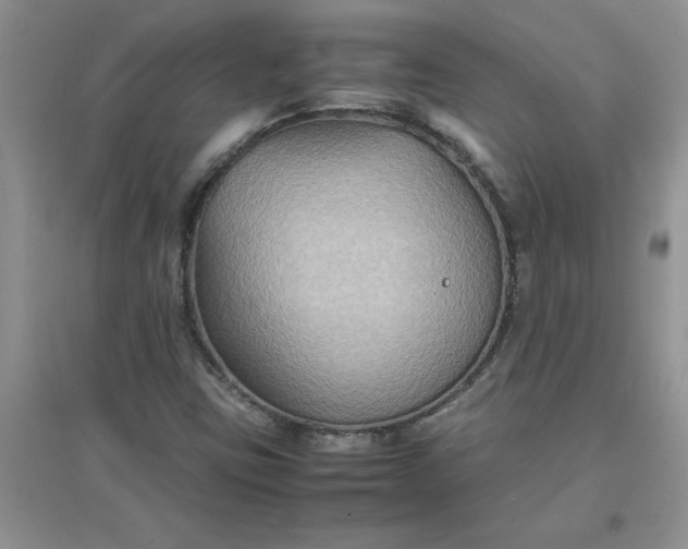 X0000097621403200803141952