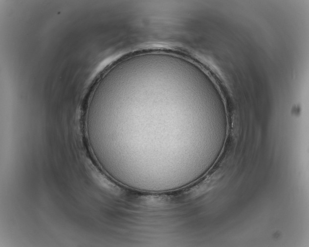 X0000097621404200803141952