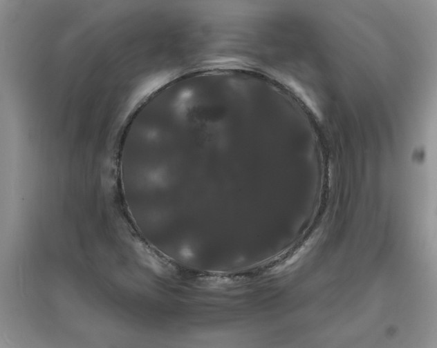 X0000097621405200803141952