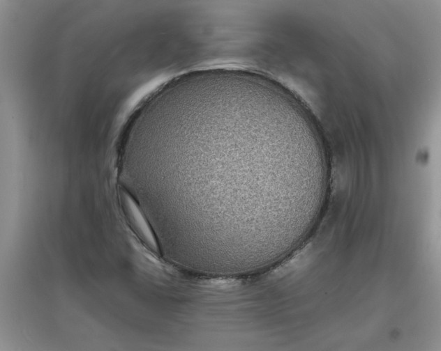 X0000097621406200803141952