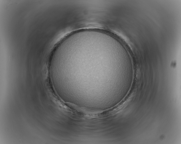 X0000097621407200803141952