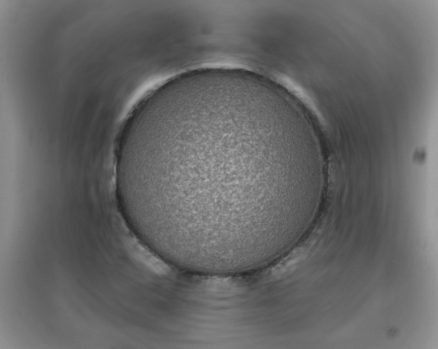 X0000097621408200803141952