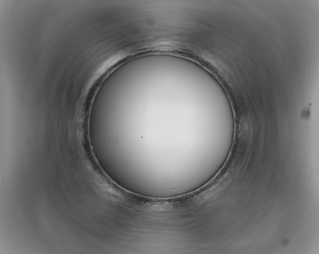 X0000097621410200803141952