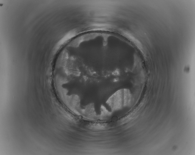 X0000097621411200803141952