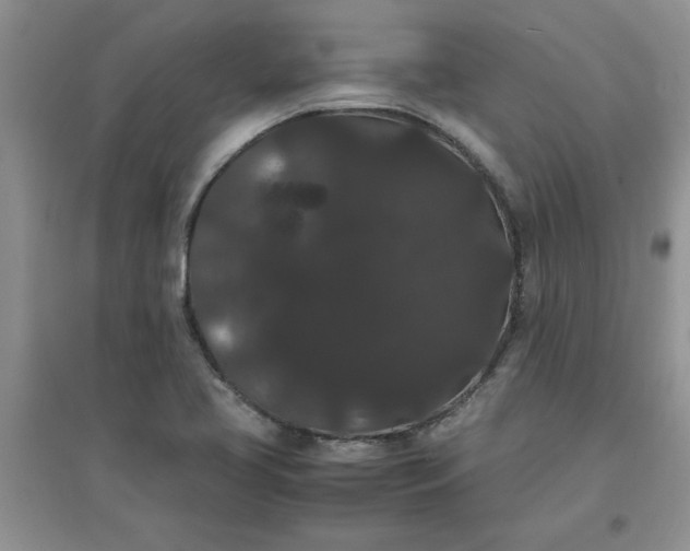 X0000097621413200803141952