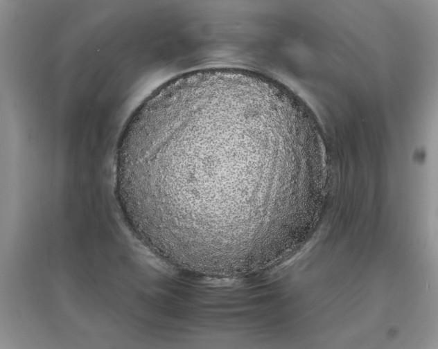 X0000097621415200803141952