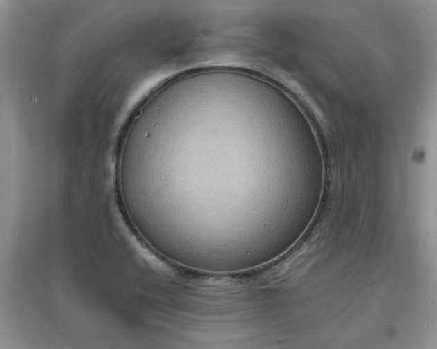 X0000097621416200803141952