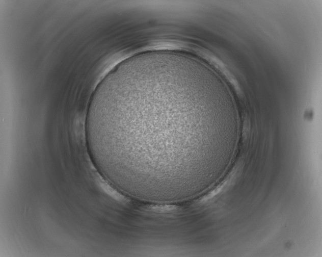 X0000097621417200803141952