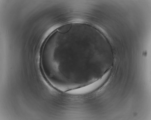 X0000097621418200803141952