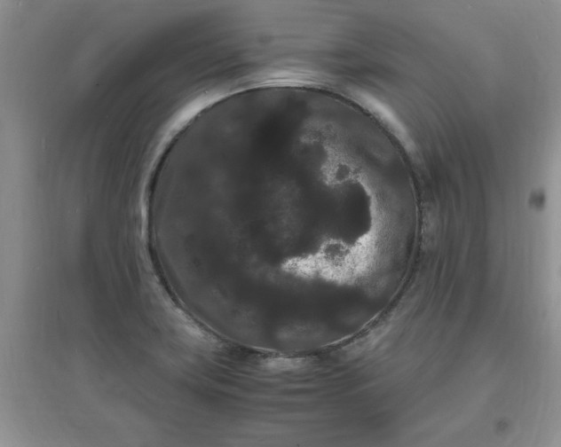 X0000097621419200803141952