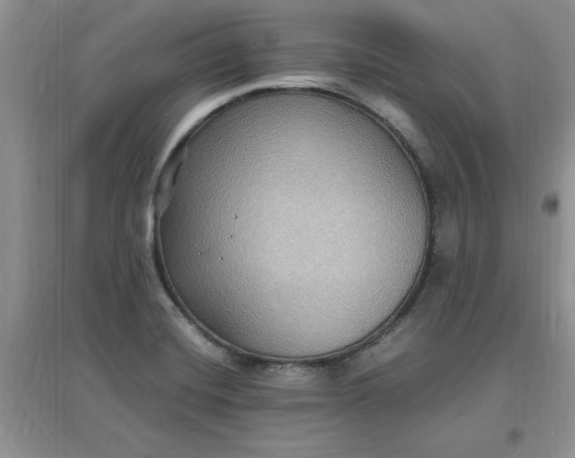 X0000097621420200803141952