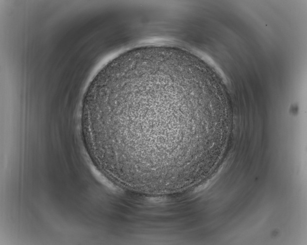 X0000097621421200803141952
