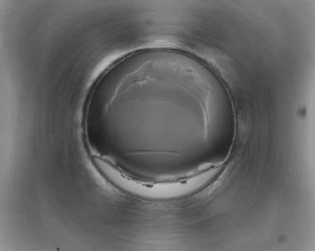 X0000097621422200803141952