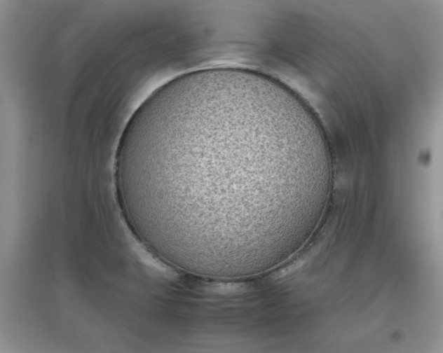 X0000097621423200803141952